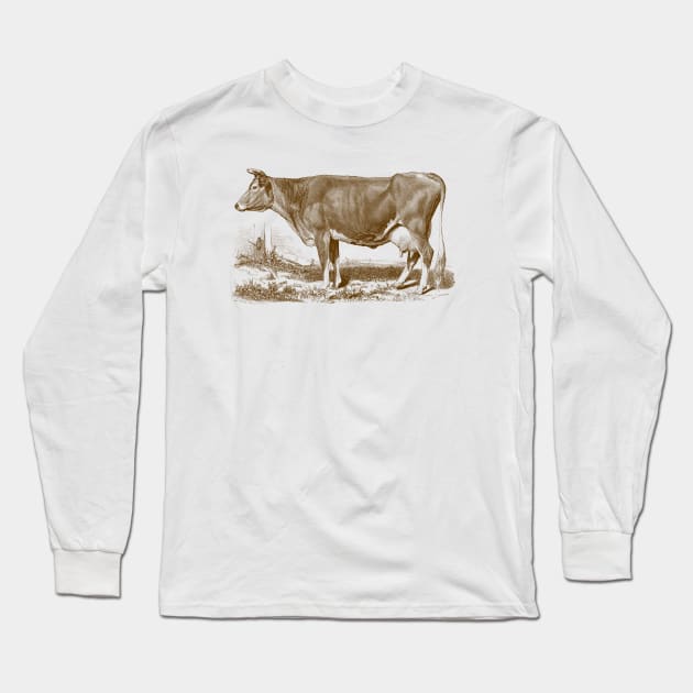 Jersey Cow Vintage Illustration Long Sleeve T-Shirt by Biophilia